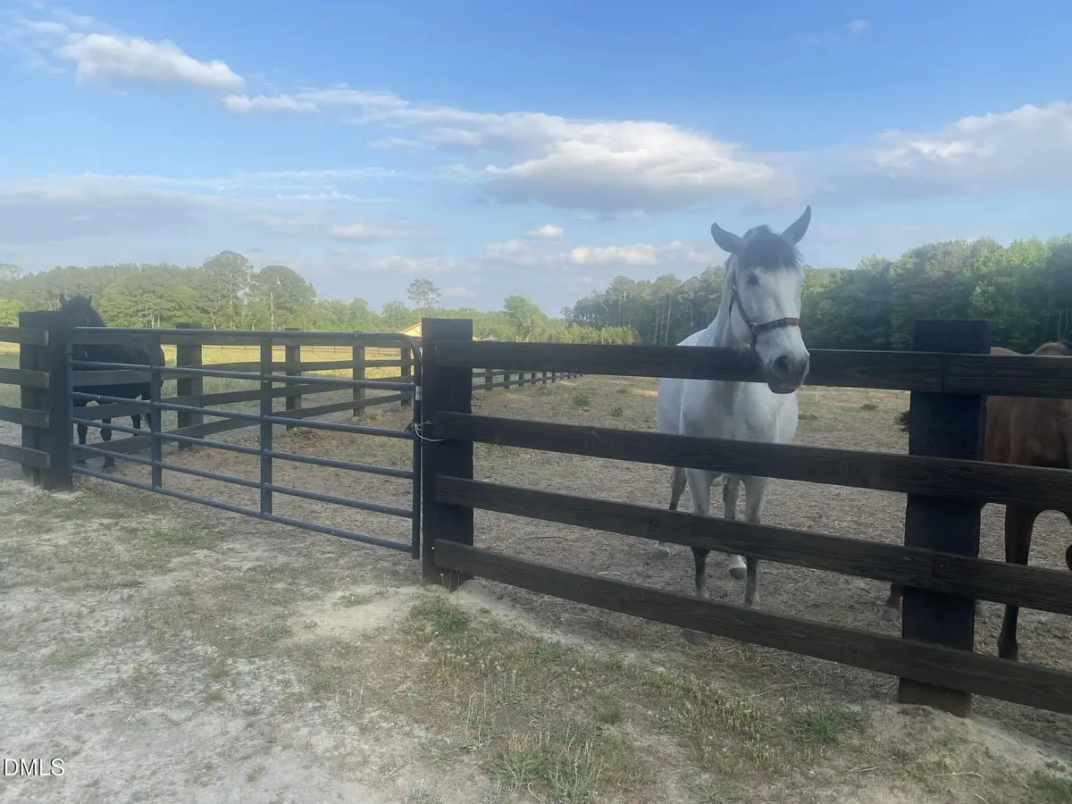 52 Fellowship Church Road, Princeton, NC 27569 - #1