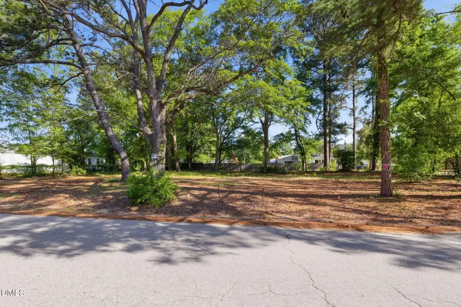 94 S Cross Street, Angier, NC 27501 - #2