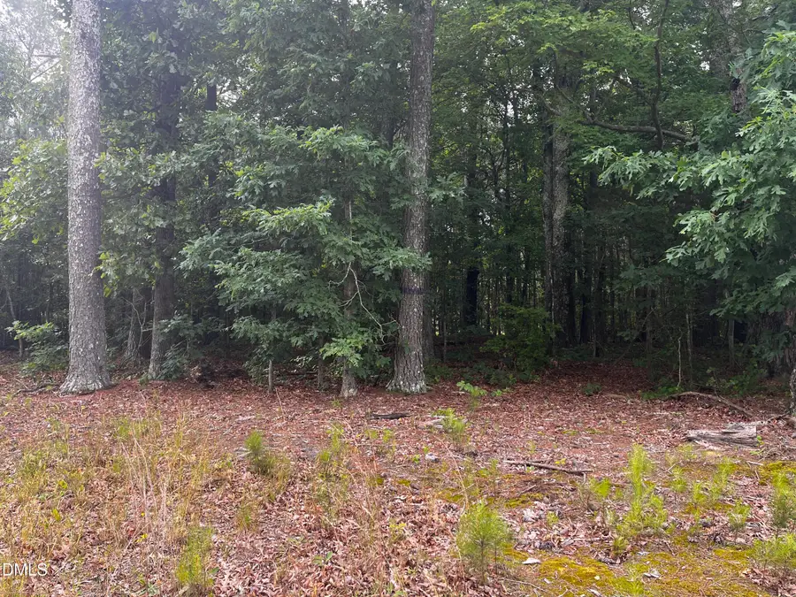 00 Bearpond Road, Henderson, NC 27537 - #3
