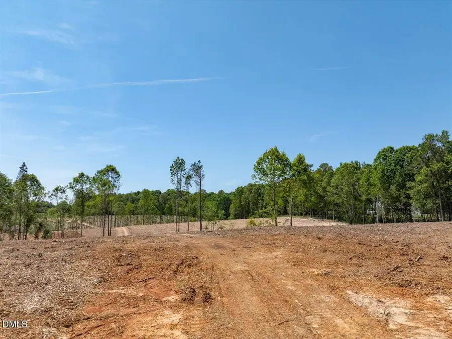 0 Lower Moncure Road, Sanford, NC 27330 - #3