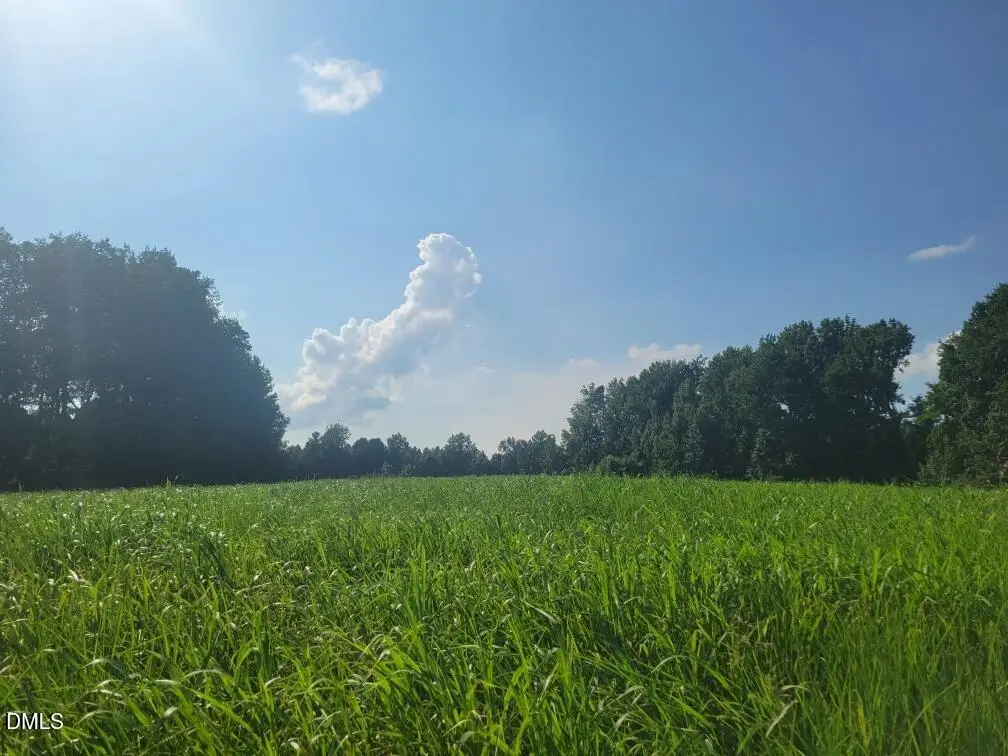 Tbd Pleasant Hill Church Rd Road, Siler City, NC 27344 - #1
