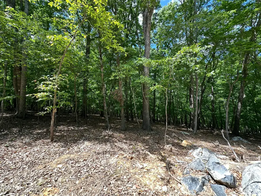 033 Fire Tower Drive, Rougemont, NC 27572 - #3