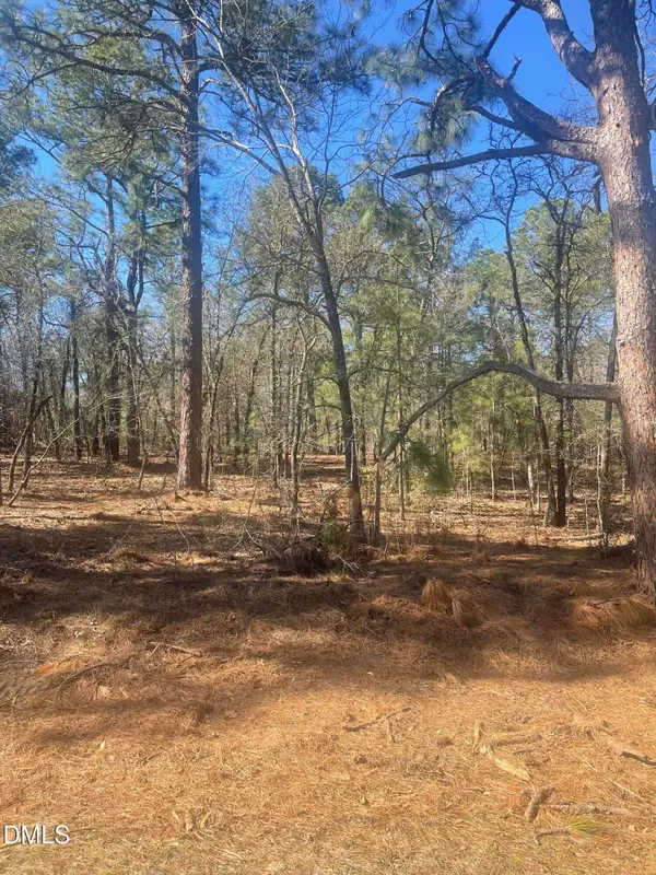 0 N Nc 73, Jackson Springs, NC 27281