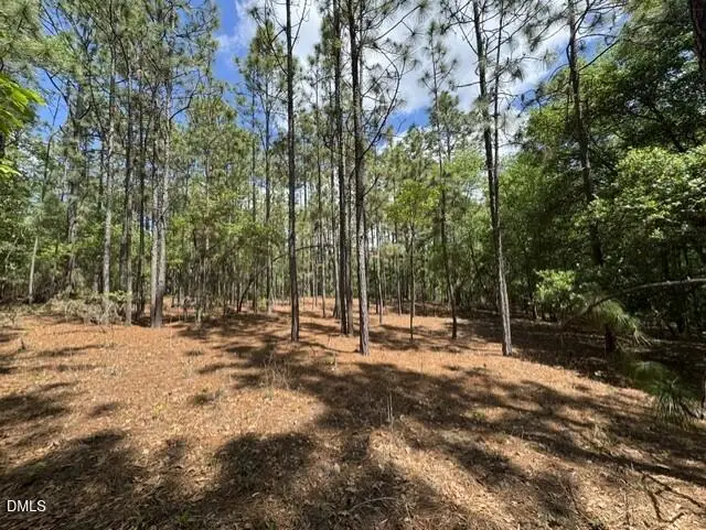 Lot 2 Utley Street, Aberdeen, NC 28315 - #2