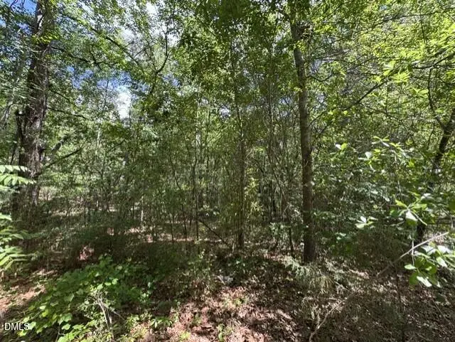 Lot 3 Utley Street, Aberdeen, NC 28315 - #1