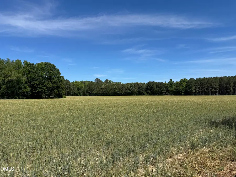 0 Stevens Sausage Road, Smithfield, NC 27577 - #3