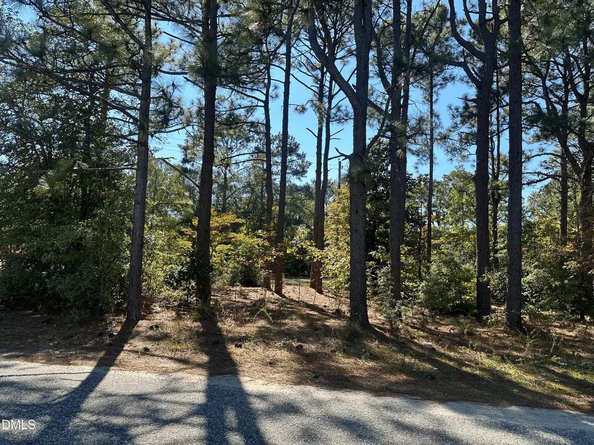 0 Maple Avenue, Hamlet, NC 28345 - #1