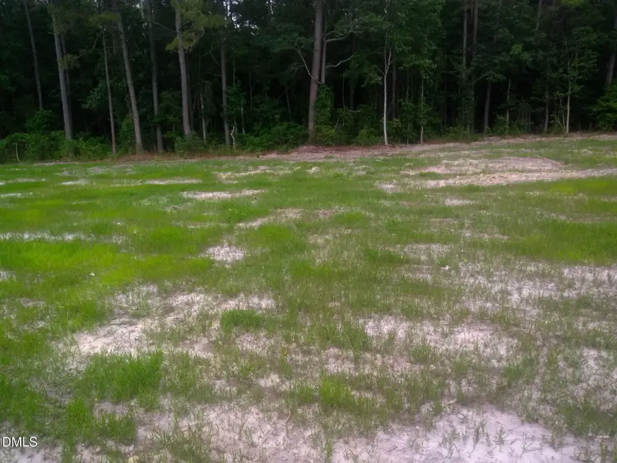 Tbd Pridgen Dead End Road, La Grange, NC 28551 - #2
