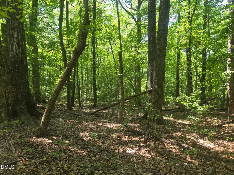 325 Walnut Branch Road, Chapel Hill, NC 27516 - #2