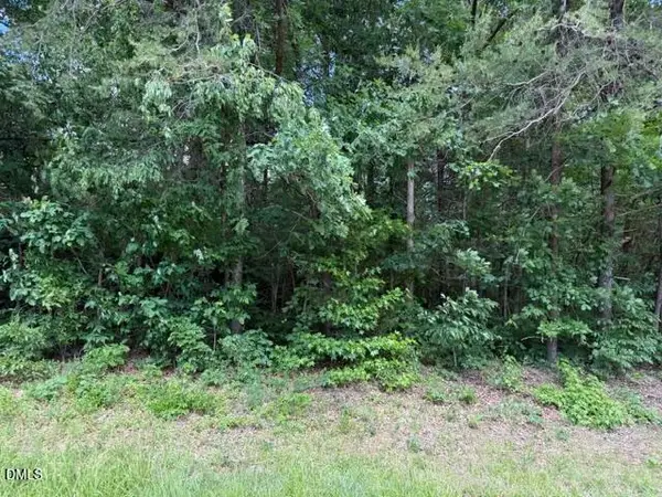 2.028 Mt Willing Road, Efland, NC 27243