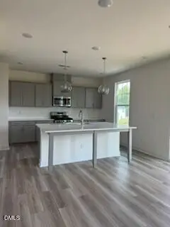 706 Old Station, Angier, NC 27501 - #2