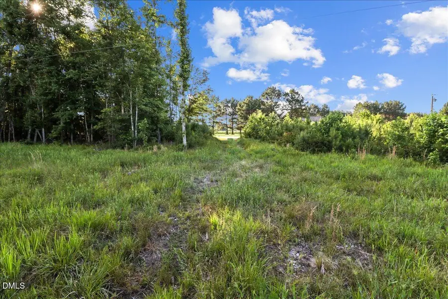 3306 Crockers Nub Road, Kenly, NC 27542 - #3