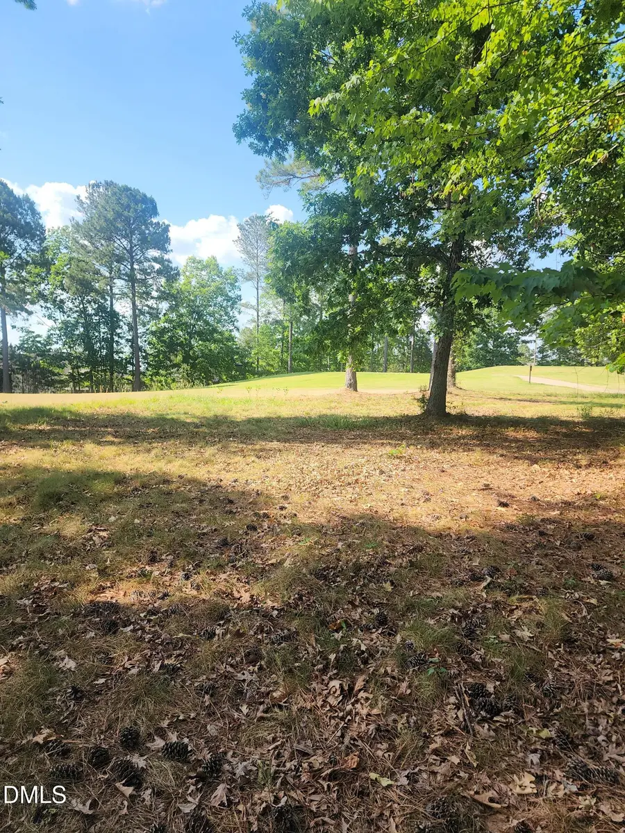 65 High Ridge Lane, Pittsboro, NC 27312 - #2