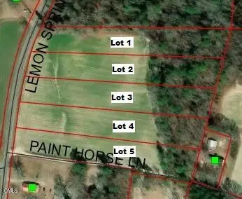 0 Lemon Springs Road, Sanford, NC 27332 - #3