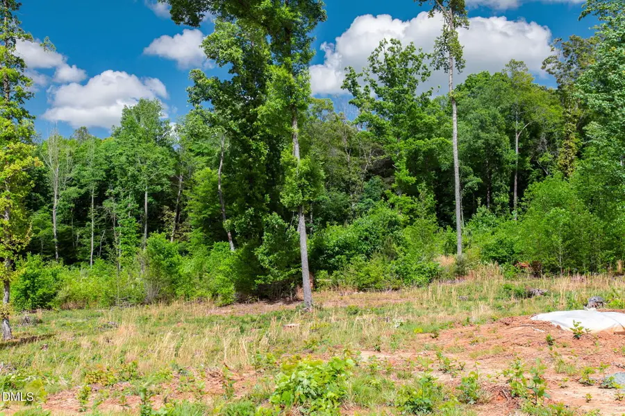 10 Conner Ridge Road, Efland, NC 27243 - #2