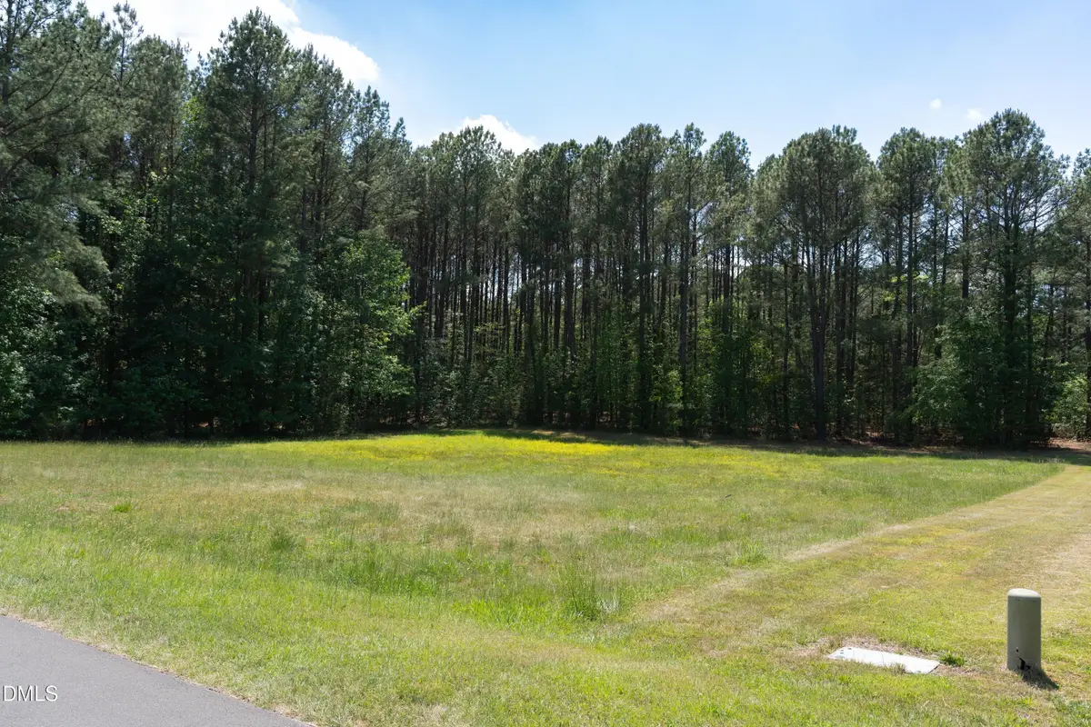 9807 Straightaway Lane, Bahama, NC 27503 - #1