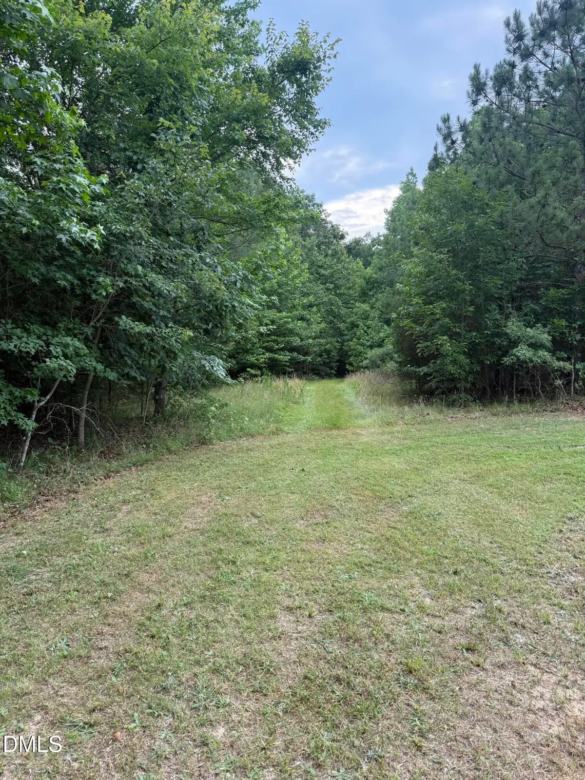 245 Brandon-kelsey Drive, Siler City, NC 27344 - #1