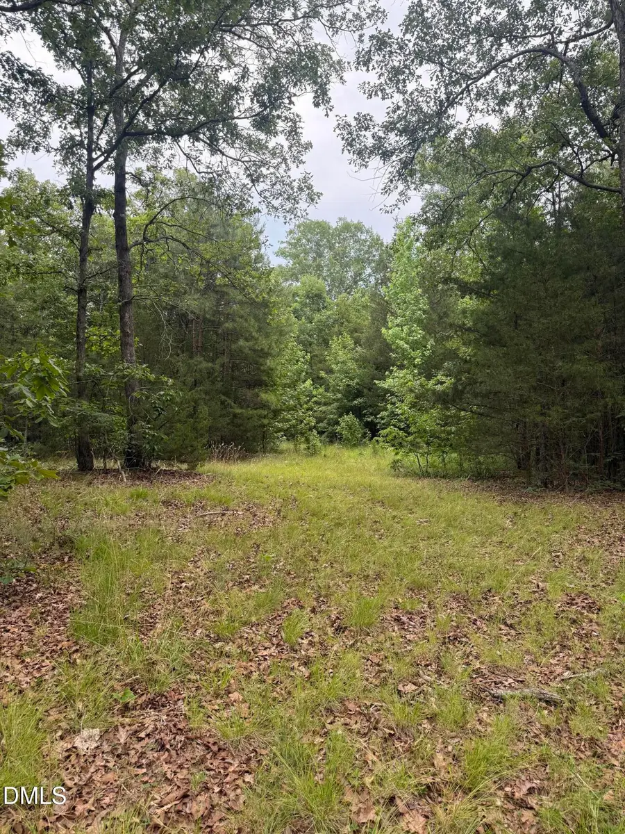 245 Brandon-kelsey Drive, Siler City, NC 27344 - #3