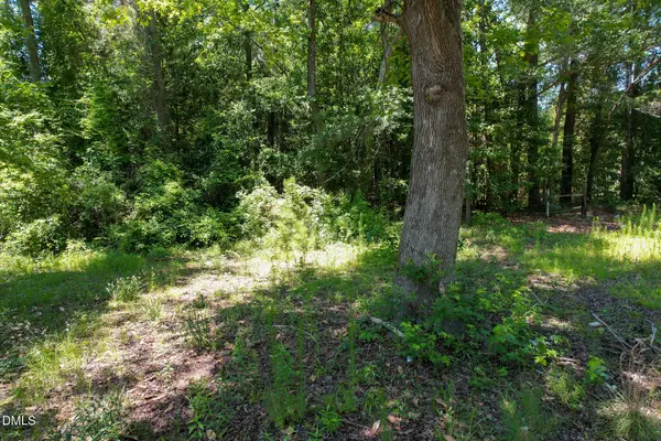 275 Hamer Street, Fair Bluff, NC 28439