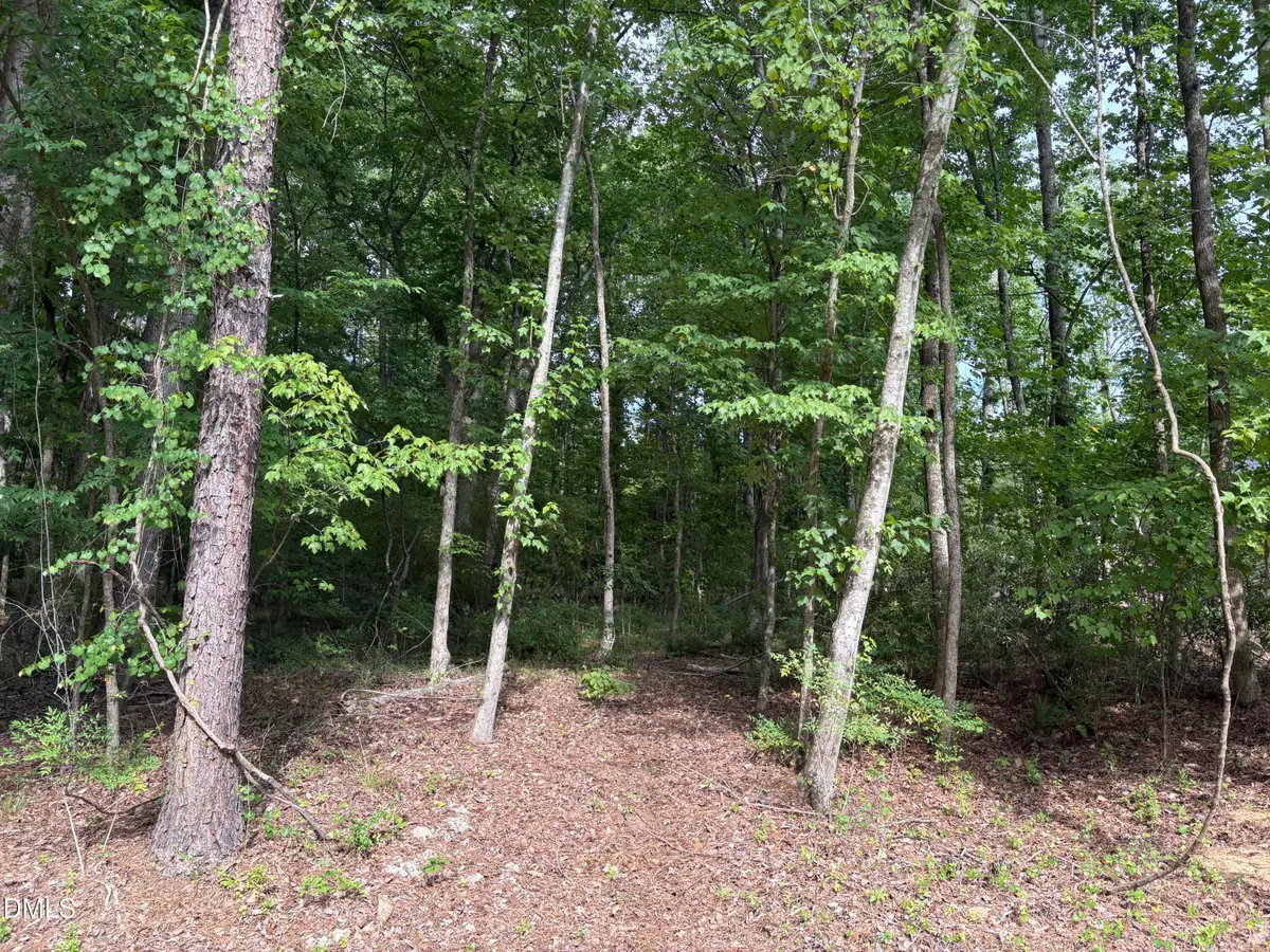 134 Mohawk Drive, Louisburg, NC 27549 - #1