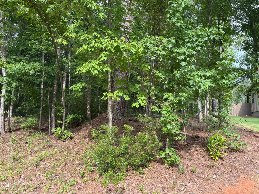 134 Mohawk Drive, Louisburg, NC 27549 - #3