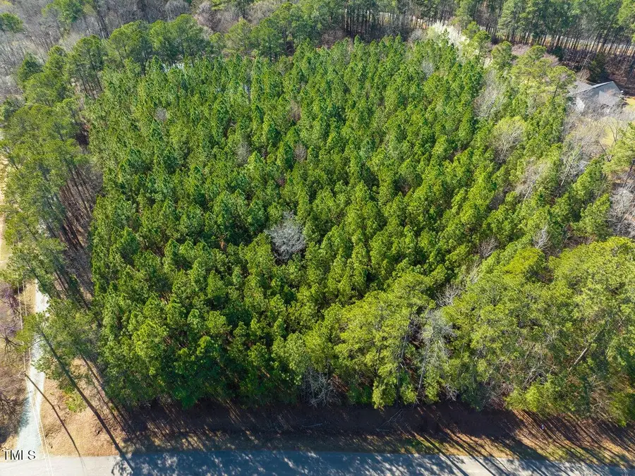 422 Lower Thrift Road, New Hill, NC 27562 - #3