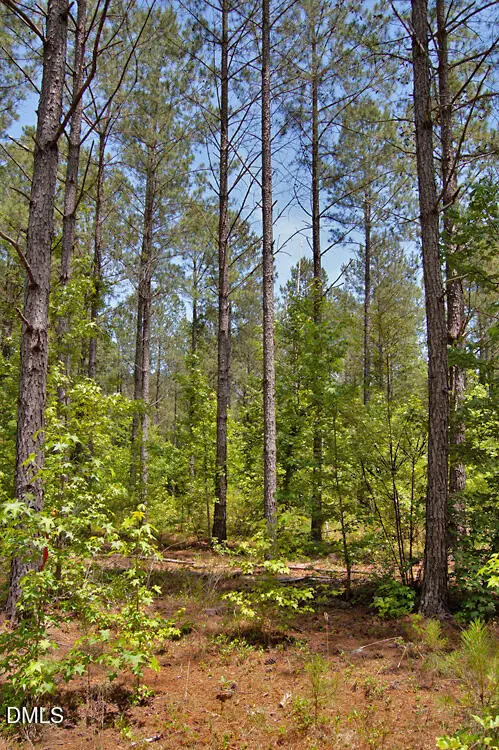E G F Ball Road, Louisburg, NC 27549 - #3