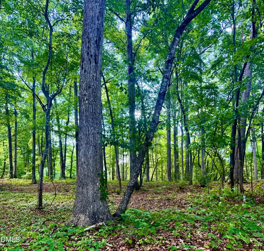 604 Appaloosa Trail, Bahama, NC 27503 - #2