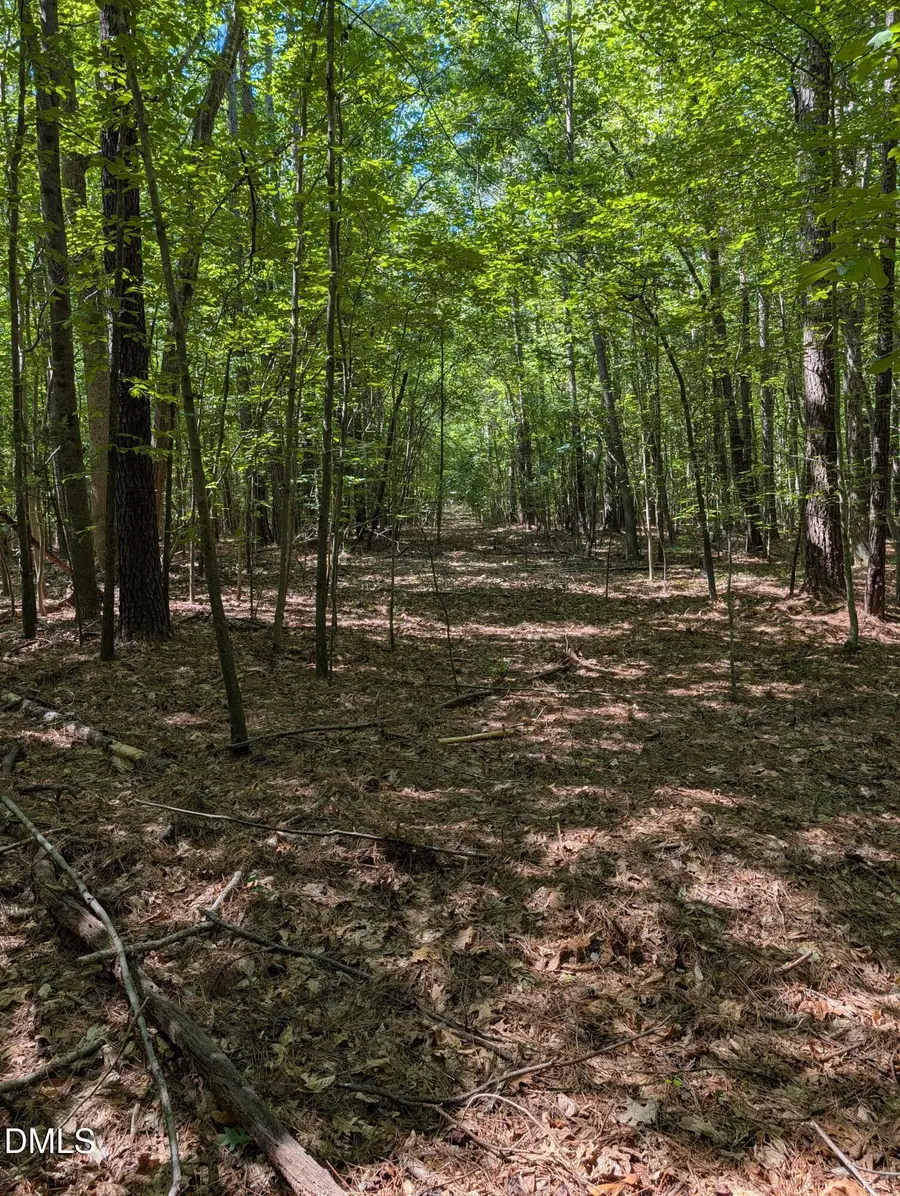 Tract B2 Thelma Road, Roanoke Rapids, NC 27870 - #2
