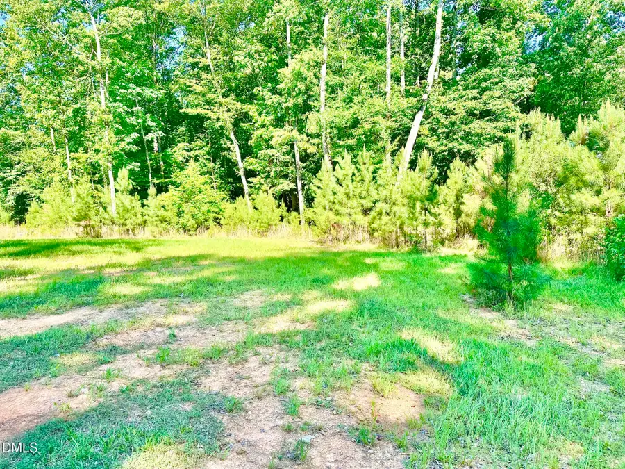 6.29 Ac June Drive, Hillsborough, NC 27278 - #3