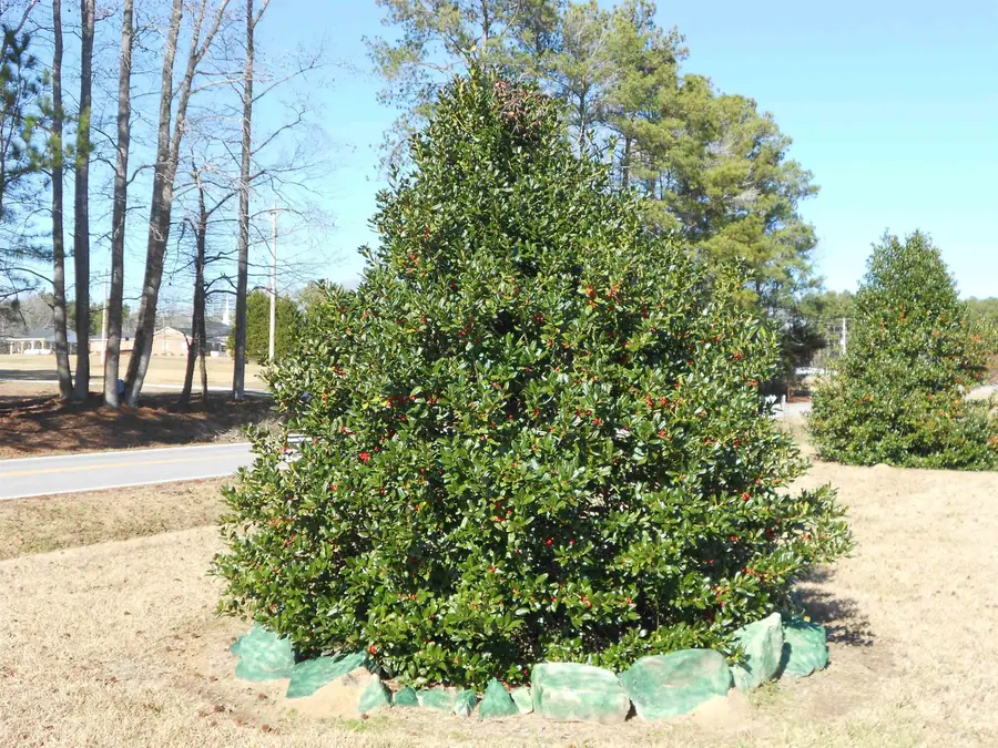 75 Joe Denton Road, Louisburg, NC 27549 - #3