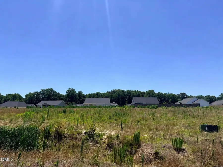 204 Jackson Rdg Way, Pikeville, NC 27863 - #2
