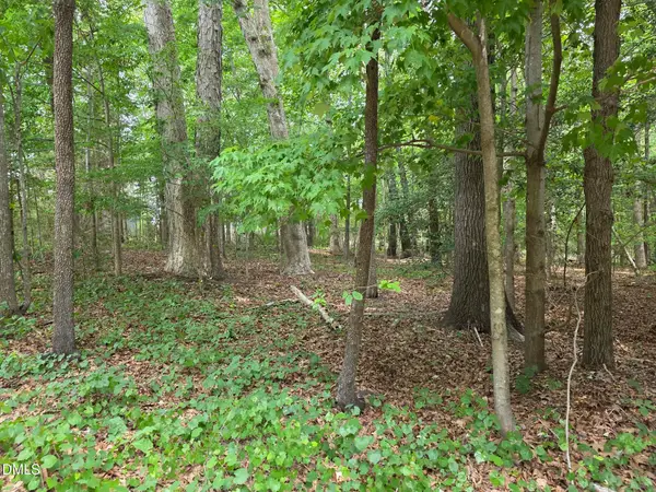 4901 Bluebird House Lane, Raleigh, NC 27616