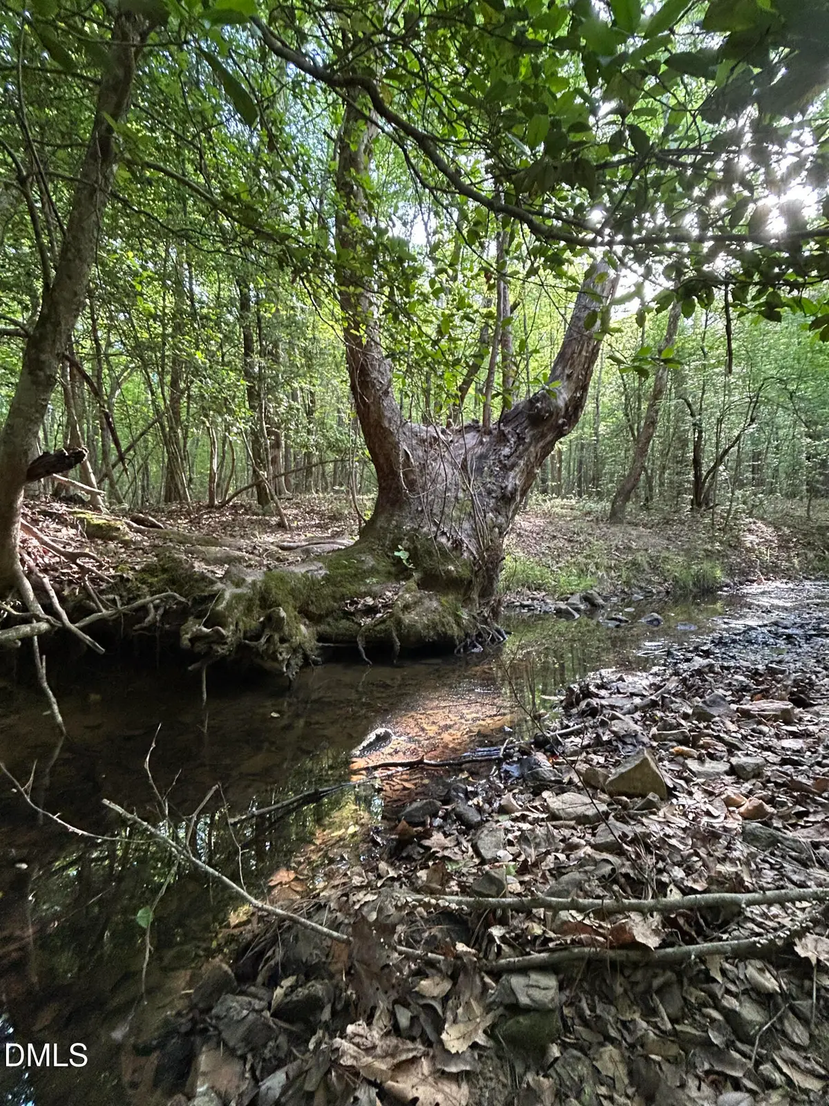 0 Beaver Dam Road, Creedmoor, NC 27522 - #1