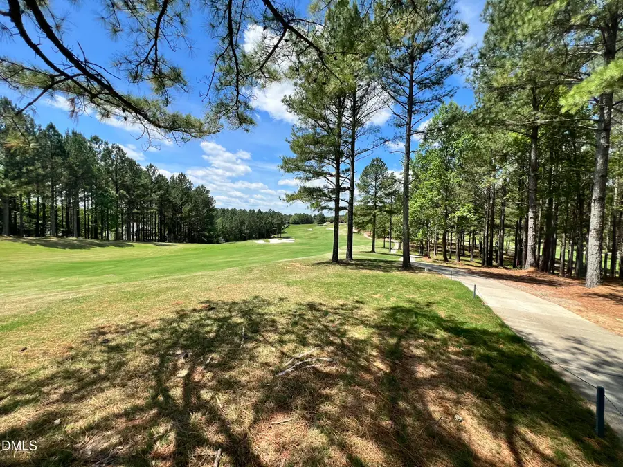 25 Blackhorn Court, Pittsboro, NC 27312 - #3