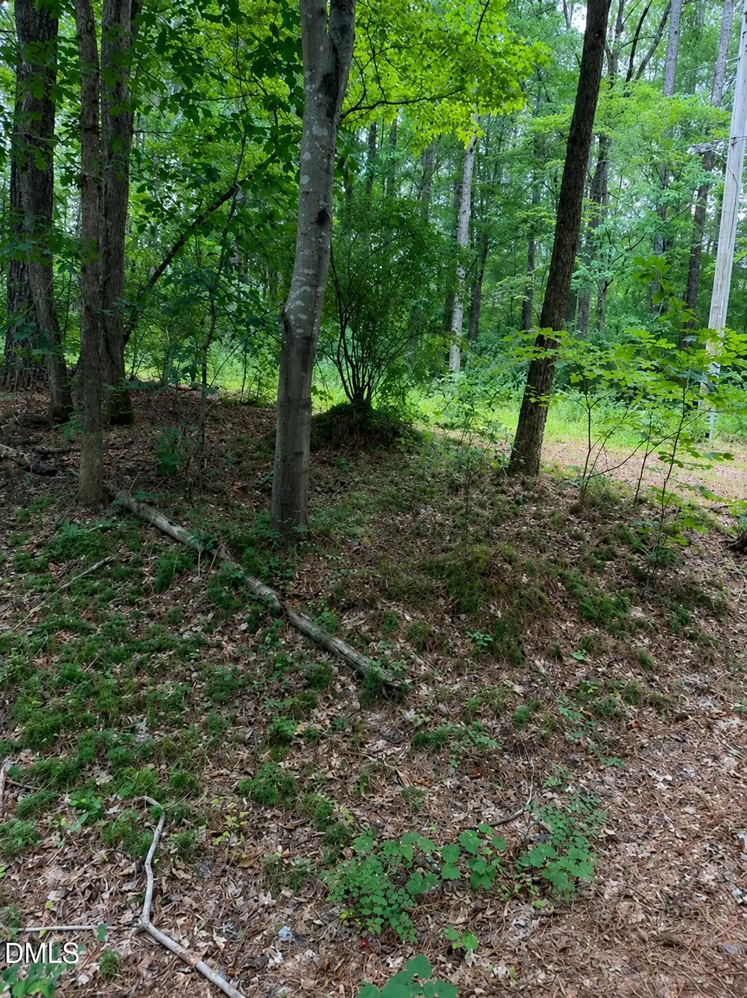 340 Damascus Church Road, Chapel Hill, NC 27516 - #1