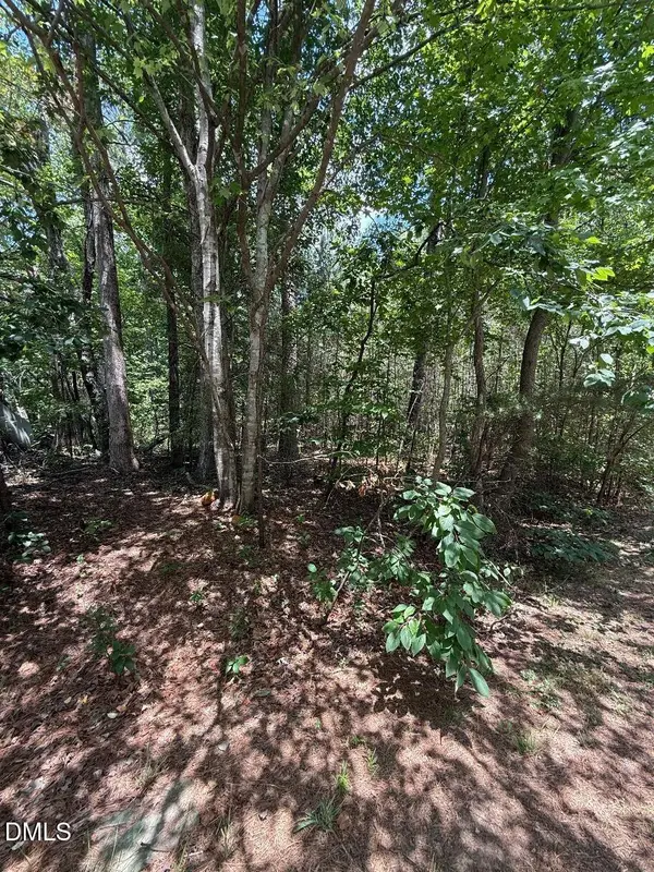 7801 Grand Lillie Drive, Durham, NC 27712