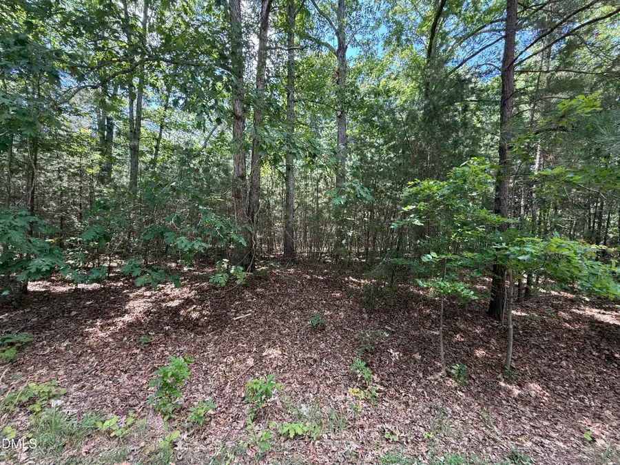 7801 Grand Lillie Drive, Durham, NC 27712 - #2