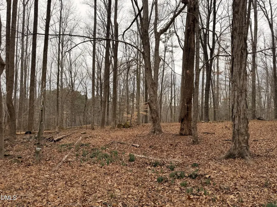 1753 Old Lystra Road, Chapel Hill, NC 27517 - #3