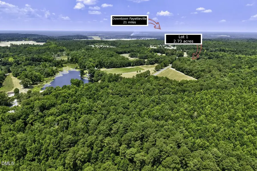 Lot 1 Ruth Vinson Road, Autryville, NC 28318 - #3