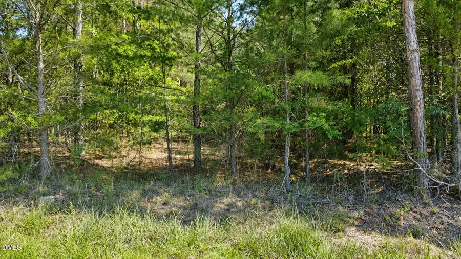 0 Weldon Painter Road, Timberlake, NC 27583 - #3
