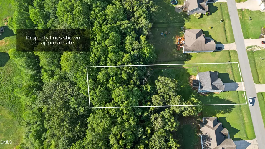 236 Cotton Mill Drive, Zebulon, NC 27597 - #2