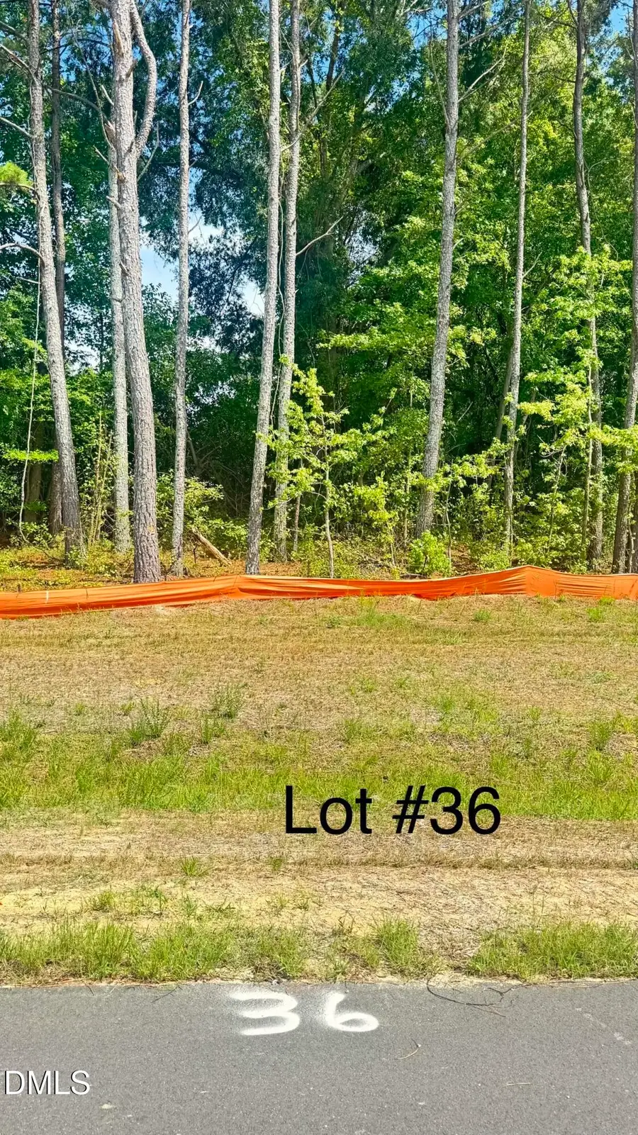 253 Galway Road, Lillington, NC 27546 - #3