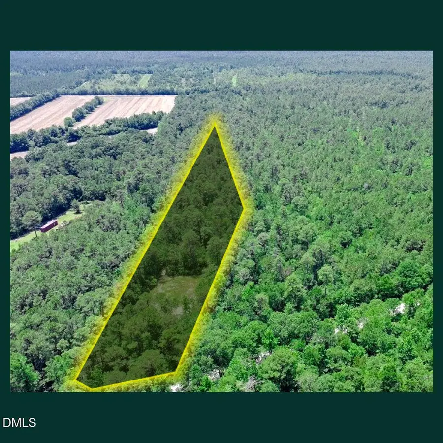 0 Pelham Road, Watha, NC 28478 - #3