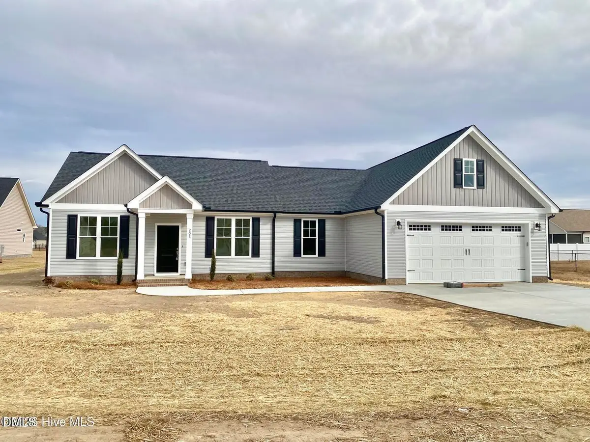 203 Rae Drive, Pikeville, NC 27863 - #1
