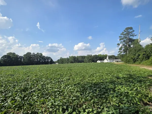 0 Eldridge Road, Newton Grove, NC 28366