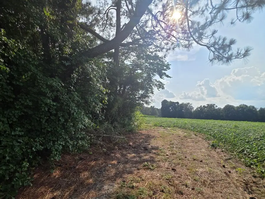 0 Eldridge Road, Newton Grove, NC 28366 - #2