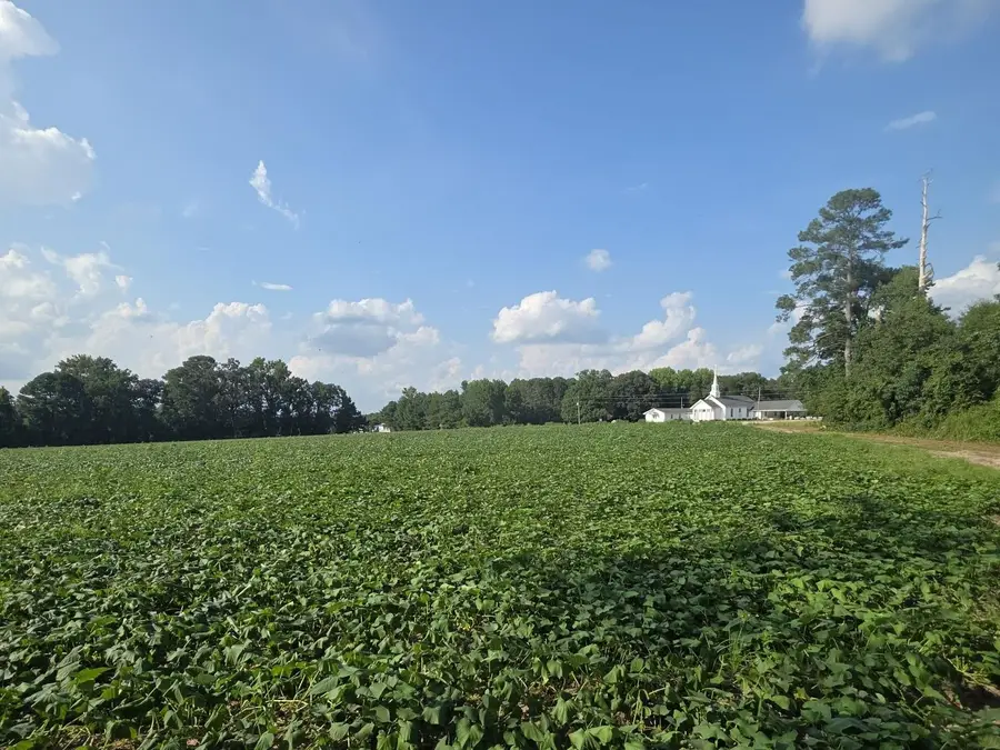 0 Eldridge Road, Newton Grove, NC 28366 - #3