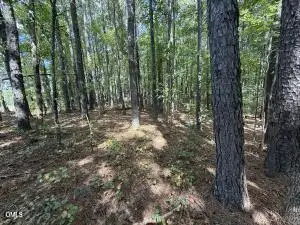 1 Massengill Pond Road, Angier, NC 27501