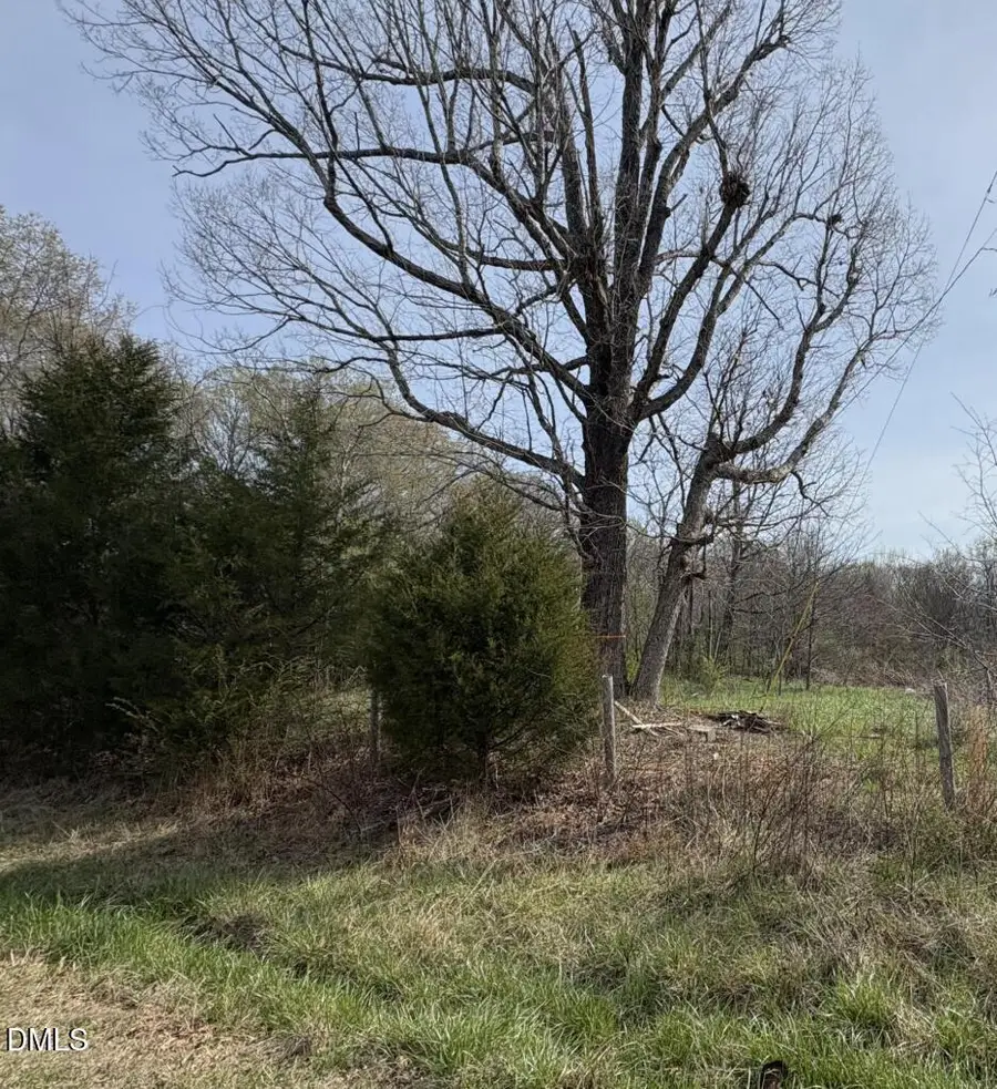 0 Winfred Brady Road, Bennett, NC 27208 - #2